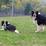 Shonny & Luna
