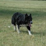 NELL5